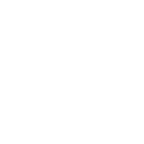Удмуртский государственный университет